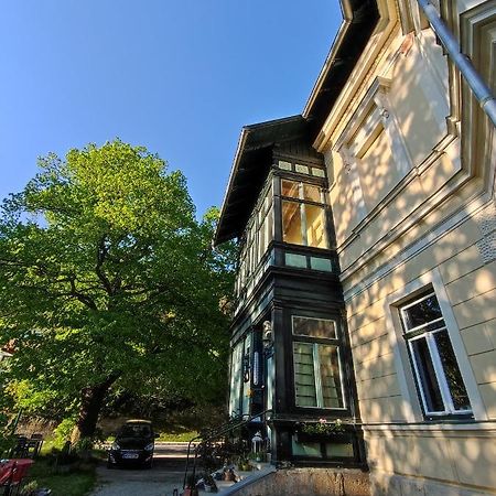 Villa Petterhof Schottwien Екстериор снимка