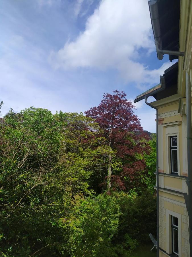 Villa Petterhof Schottwien Екстериор снимка
