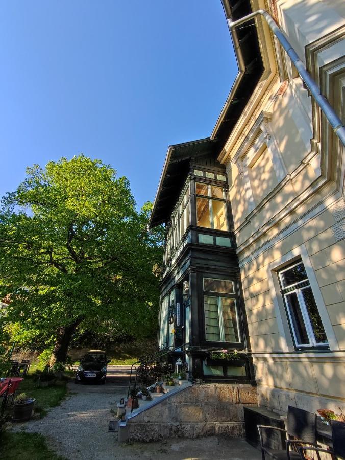 Villa Petterhof Schottwien Екстериор снимка